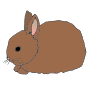 Rabbit Baby