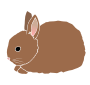 Rabbit Baby