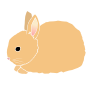 Rabbit Baby