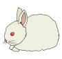 Rabbit Baby