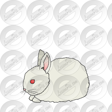 Rabbit Baby