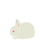 Rabbit Baby