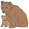 Bear and Cub Picture