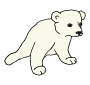 Cub  Picture