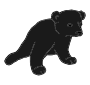 Cub  Picture