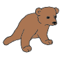 Cub  Picture