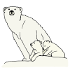 Polar Bear and Cub Picture