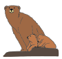 Bear and Cubs