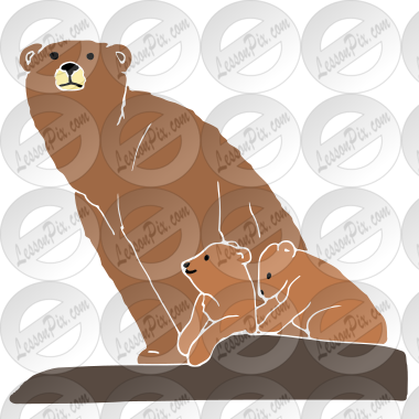 Bear and Cubs