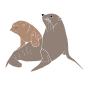 Seals