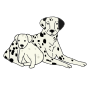 Dogs  Picture