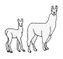 Llama