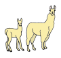 Llama Picture