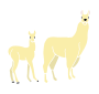 Llama