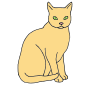 Cat  Picture