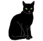 Cat  Picture