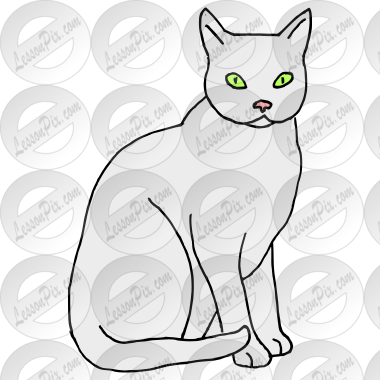Cat  Picture