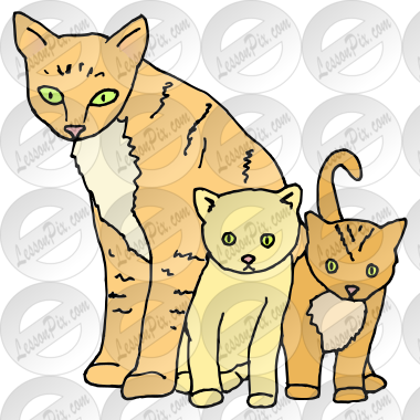 Cats