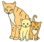 Cats