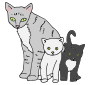 Cats