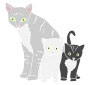 Cats