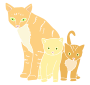 Cats