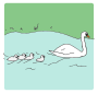 Swans