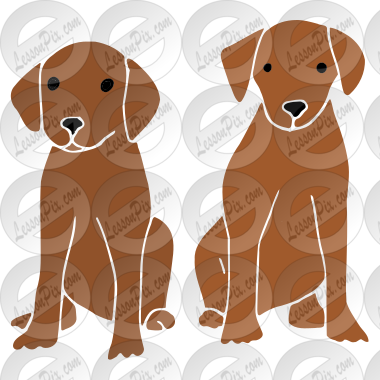 Puppies