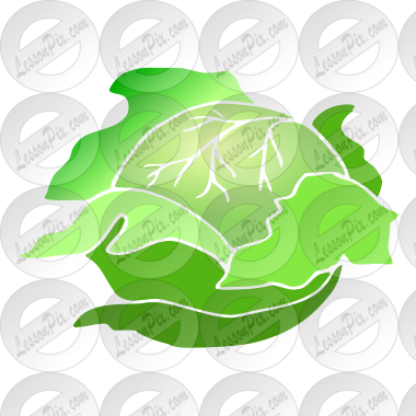 Cabbage  Stencil