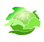 Cabbage  Stencil