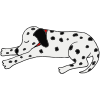 Dalmatian Picture