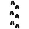 Cow Tracks