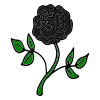 Black Rose