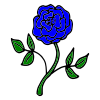 Blue Rose Picture