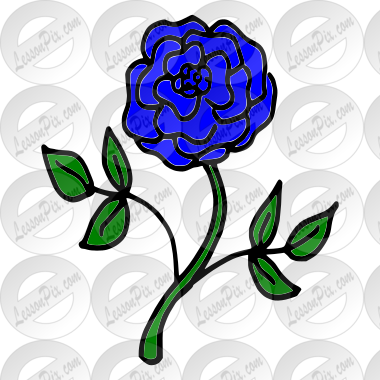Blue Rose