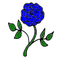 Blue Rose