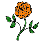 Orange Rose