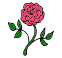Pink Rose