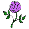 Purple Rose Picture