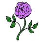 Purple Rose