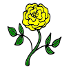 Yellow Rose Picture