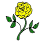 Yellow Rose