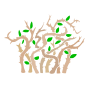Briar