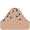 Anthill