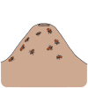 Anthill Picture