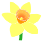 Daffodil Stencil