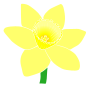 Daffodil Stencil