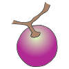 Grape