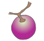 Grape  Picture
