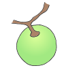 Grape